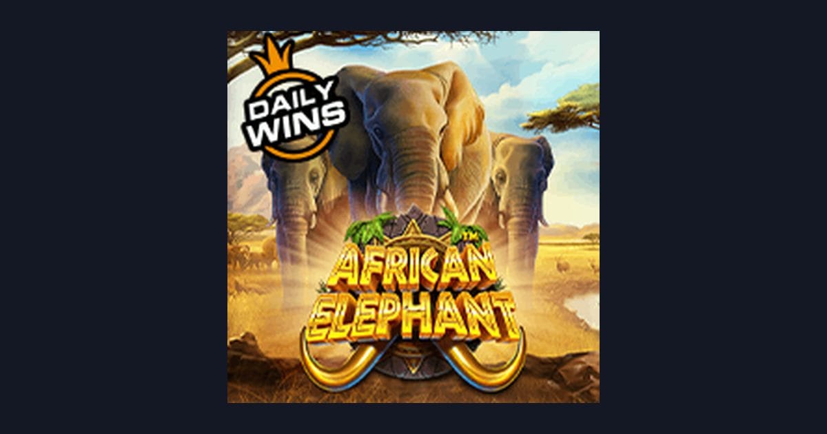 African Elephant: Slot Online Terpercaya dengan Tips Memilih dan Cara Baca Pola Spin