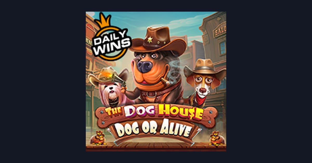 The Dog House Dog Or Alive: Panduan Slot Online Terpercaya & Tips Bermain