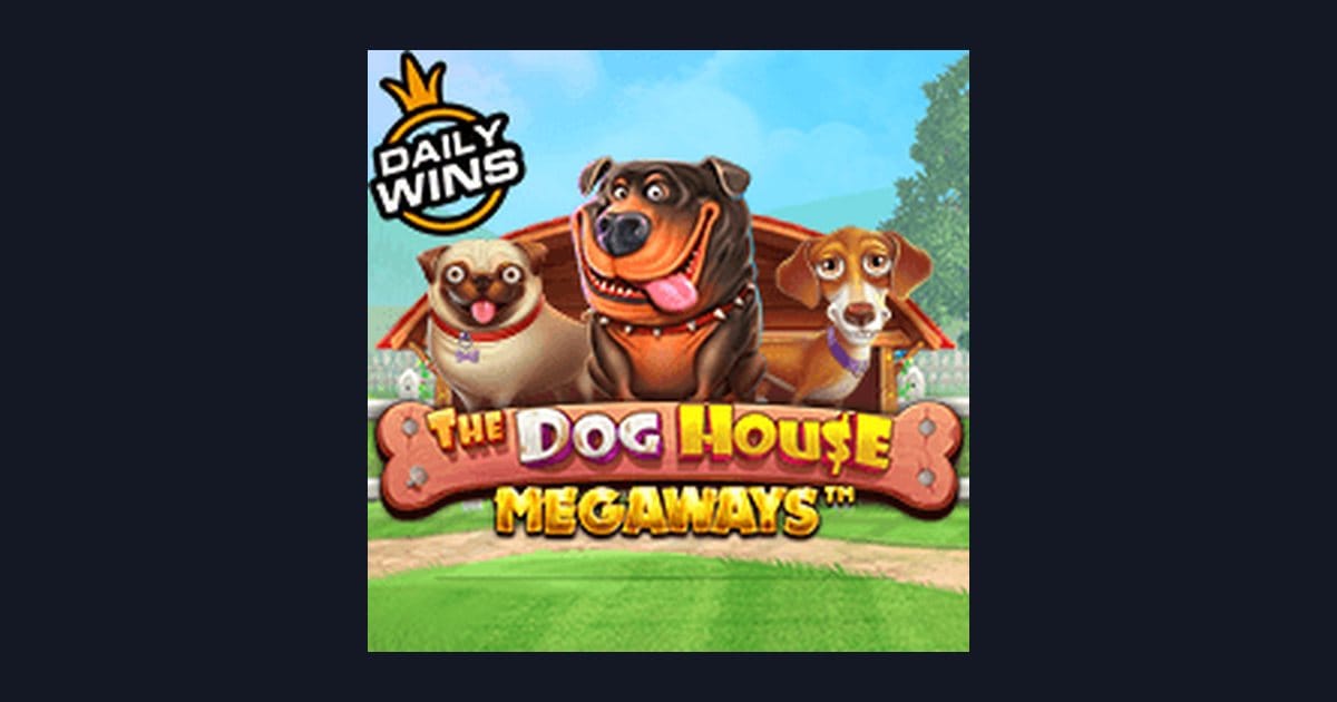 Tips Menang Buat Pemula di Slot The Dog House Megaways dari Pragmatic Play